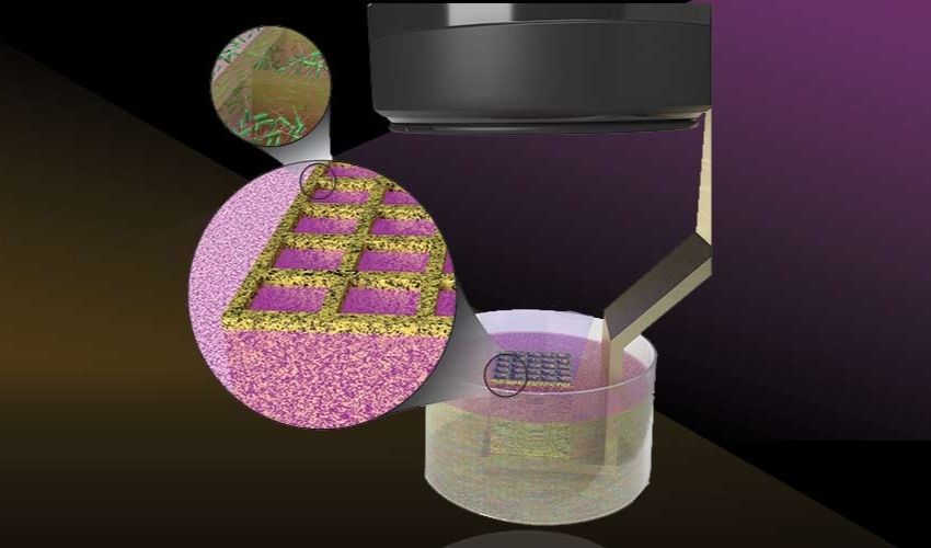 科學家開發(fā)出 3D 打印活微生物的新方法